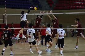 Alpine寄望科拉平托成长：年轻车手需时间成熟，以稳定贡献积分